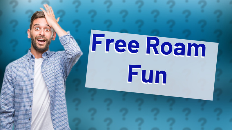 Free Roam Fun