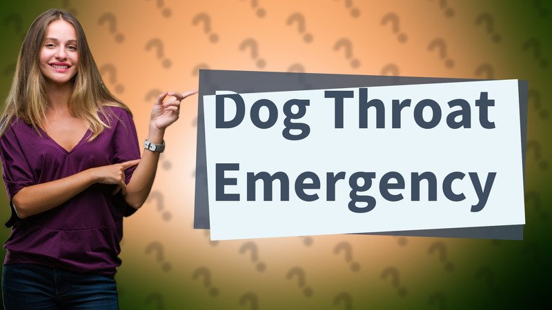 Dog Throat Emergency