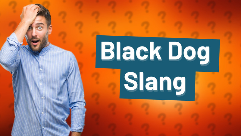 Black Dog Slang