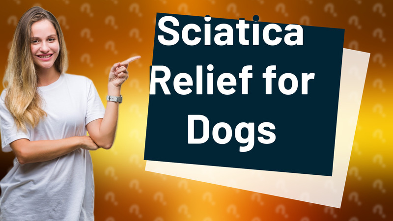 Sciatica Relief for Dogs