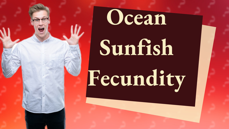 Ocean Sunfish Fecundity