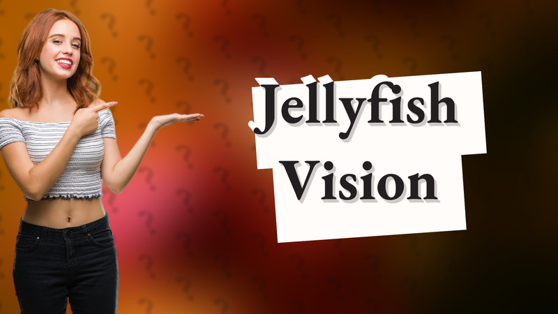 Jellyfish Vision