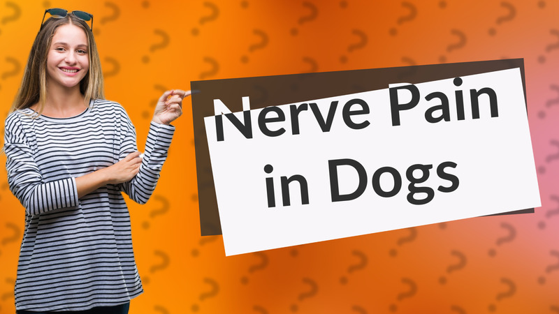 Nerve Pain in Dogs