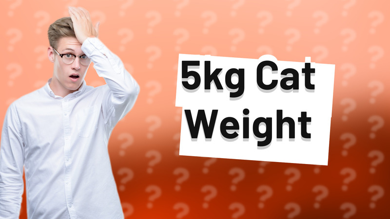 5kg Cat Weight