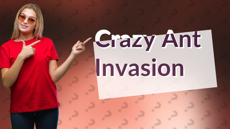 Crazy Ant Invasion