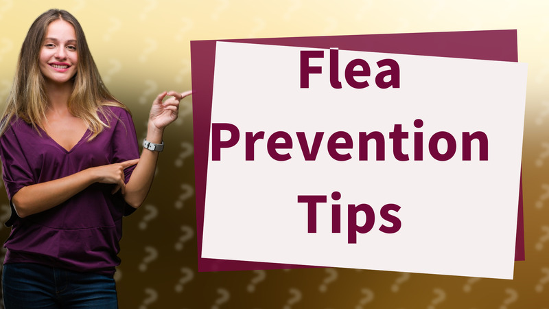 Flea Prevention Tips