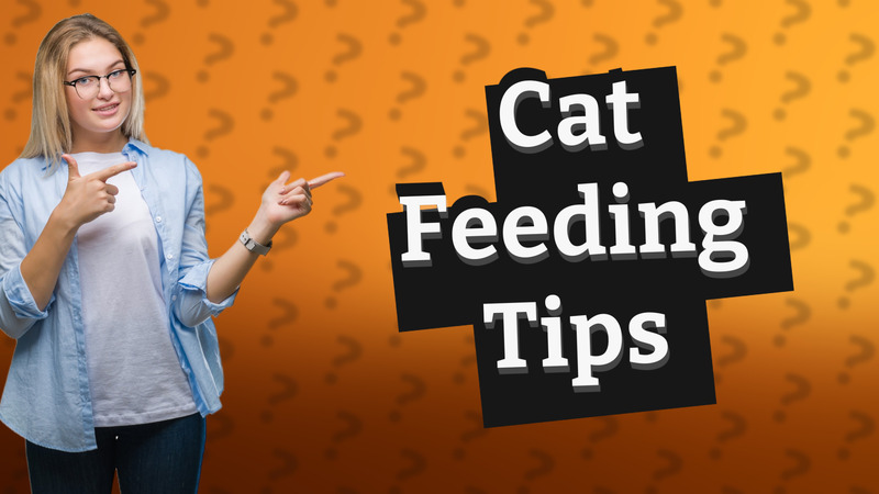 Cat Feeding Tips
