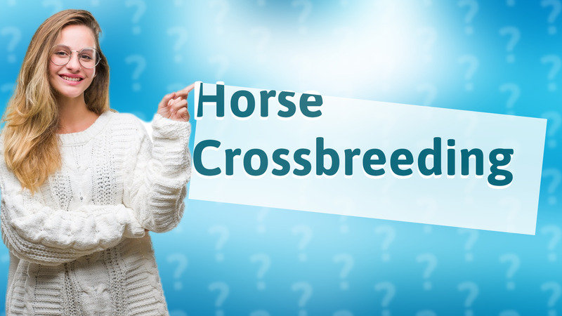 Horse Crossbreeding