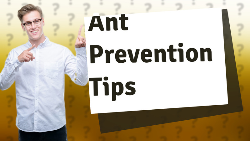 Ant Prevention Tips