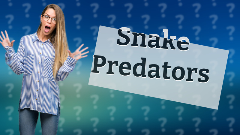 Snake Predators