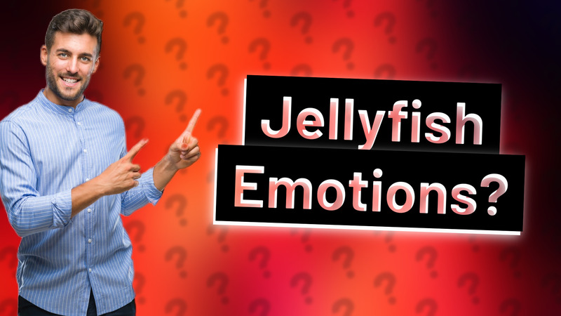 Jellyfish Emotions?