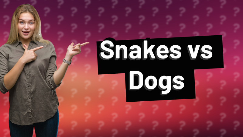 Snakes vs Dogs
