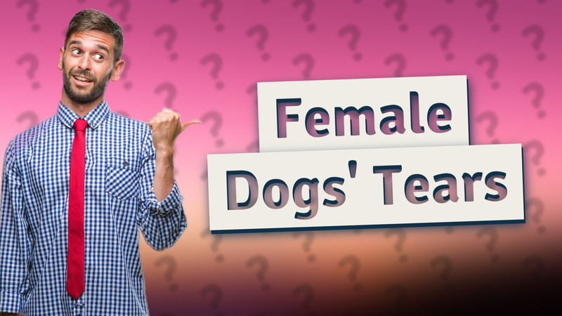 Female Dogs' Tears