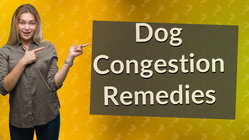 Dog Congestion Remedies