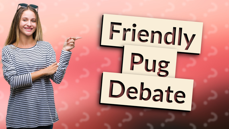 Friendly Pug Debate