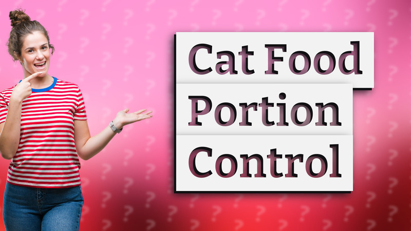 Cat Food Portion Control