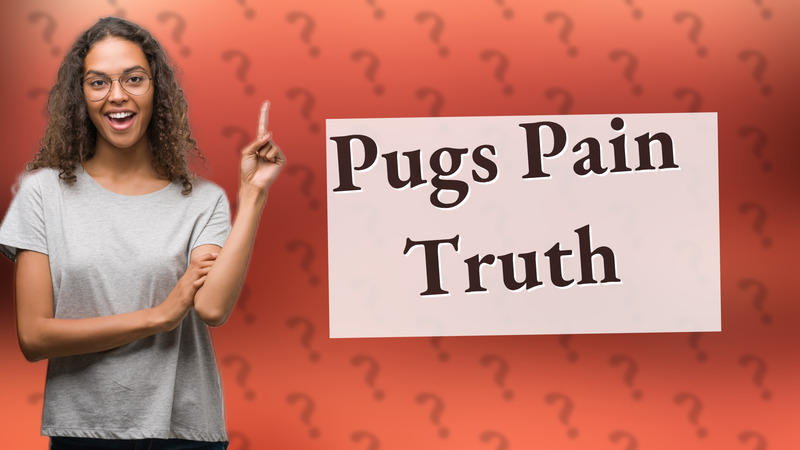 Pugs Pain Truth