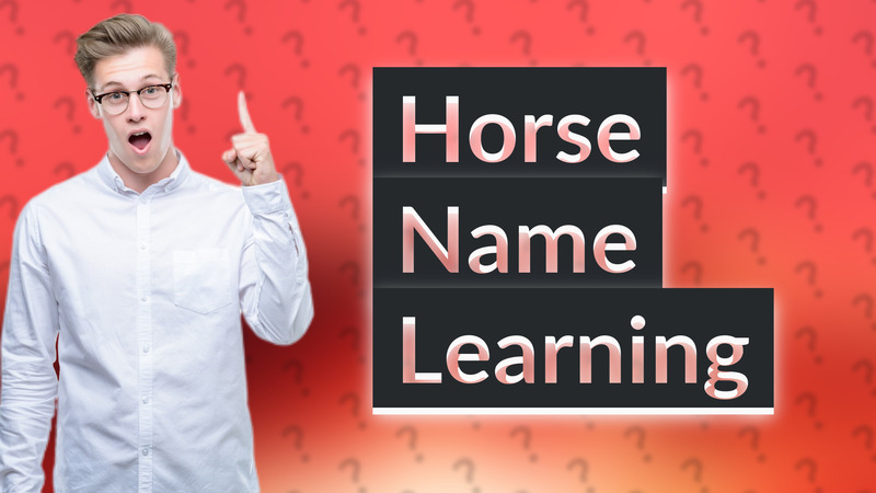 Horse Name Learning