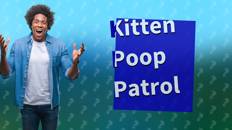Kitten Poop Patrol
