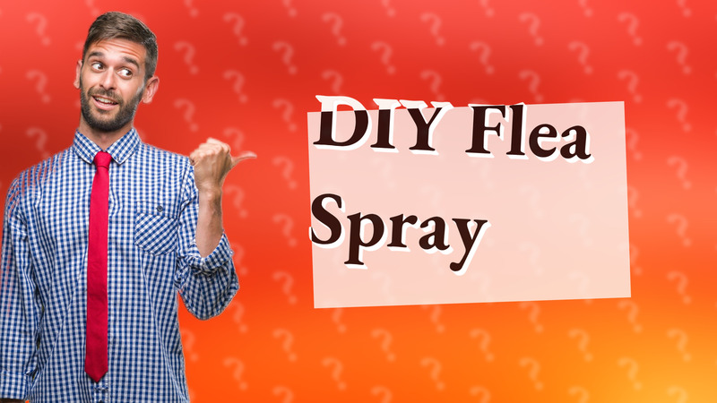 DIY Flea Spray