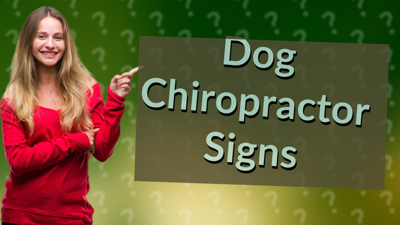 Dog Chiropractor Signs