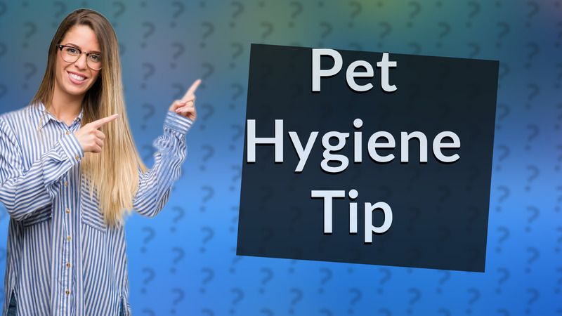 Pet Hygiene Tip