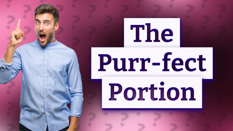 The Purr-fect Portion