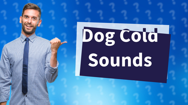 Dog Cold Sounds