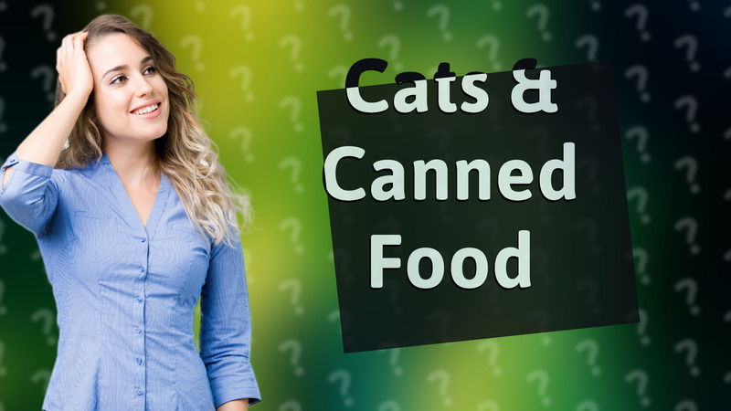 Cats & Canned Food