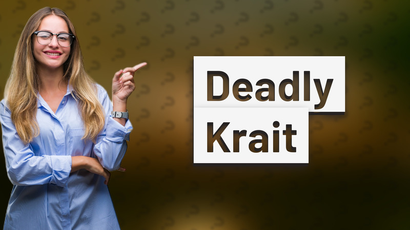 Deadly Krait