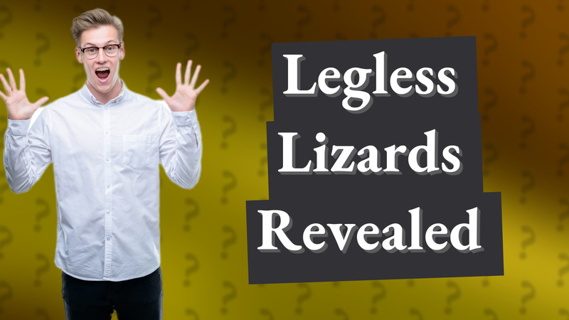 Legless Lizards Revealed