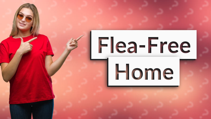 Flea-Free Home