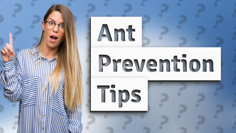 Ant Prevention Tips