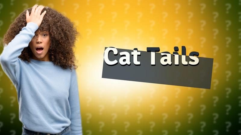 Cat Tails