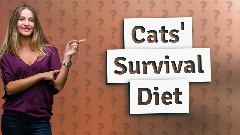 Cats' Survival Diet
