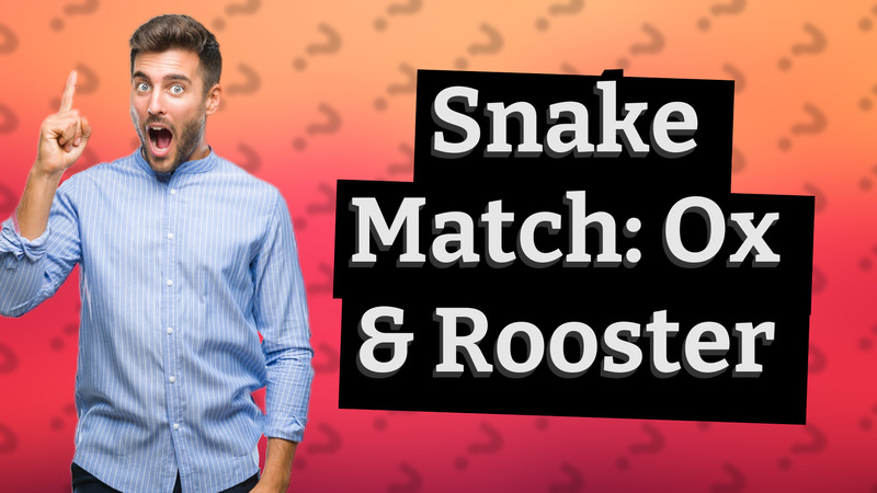 Snake Match: Ox & Rooster