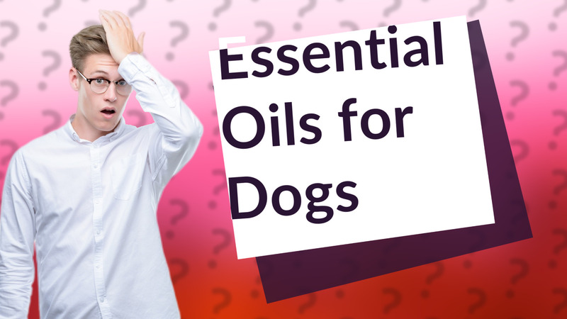Essential Oils for Dogs