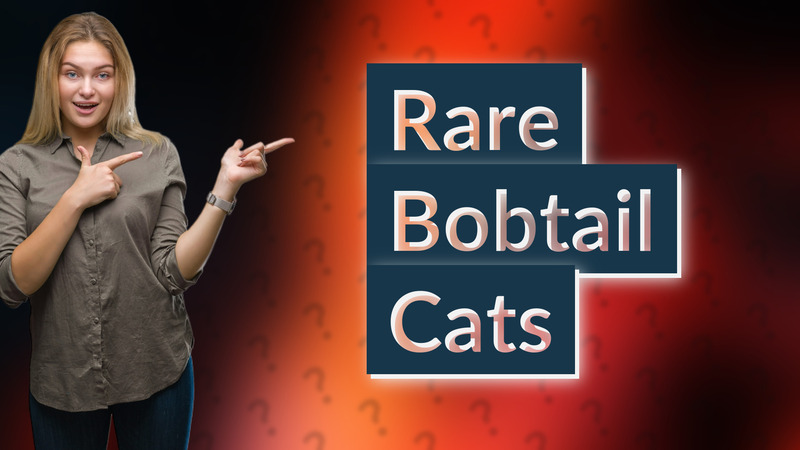 Rare Bobtail Cats