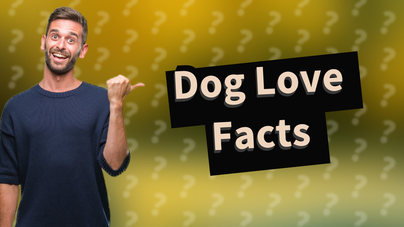 Dog Love Facts