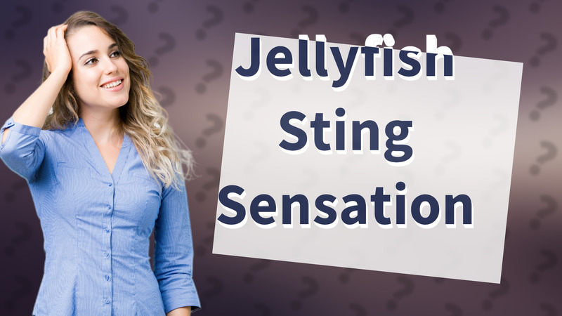 Jellyfish Sting Sensation
