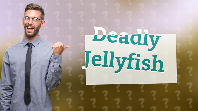 Deadly Jellyfish