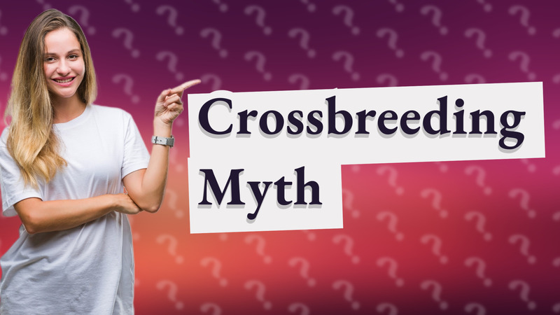 Crossbreeding Myth