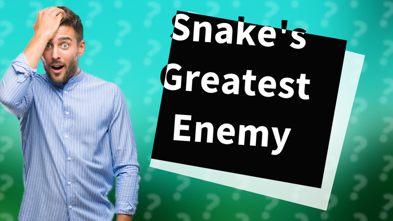 Snake's Greatest Enemy
