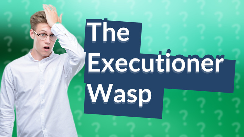 The Executioner Wasp