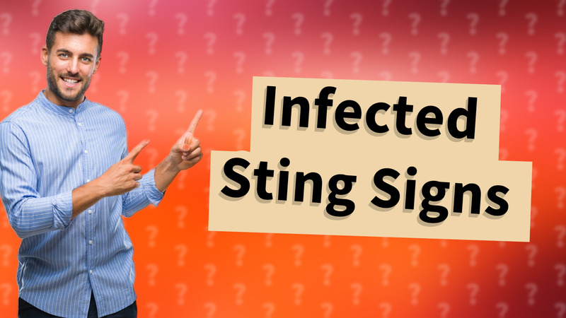 Infected Sting Signs