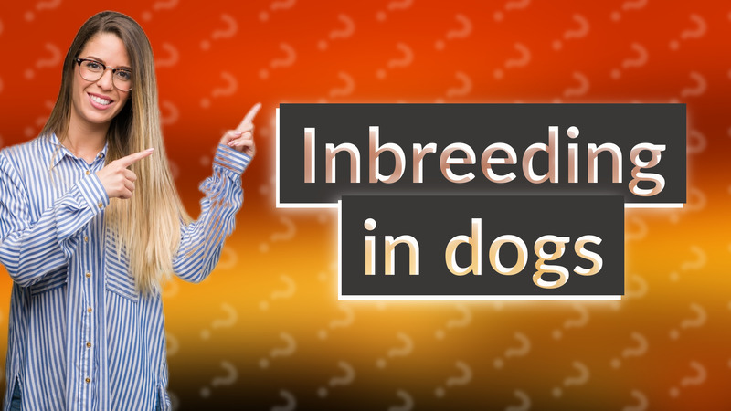 Inbreeding in dogs