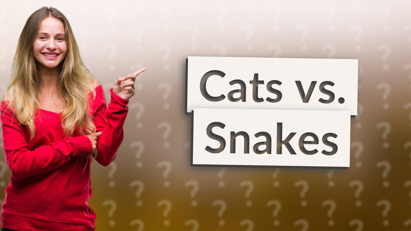 Cats vs. Snakes