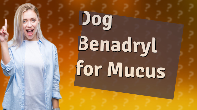 Dog Benadryl for Mucus
