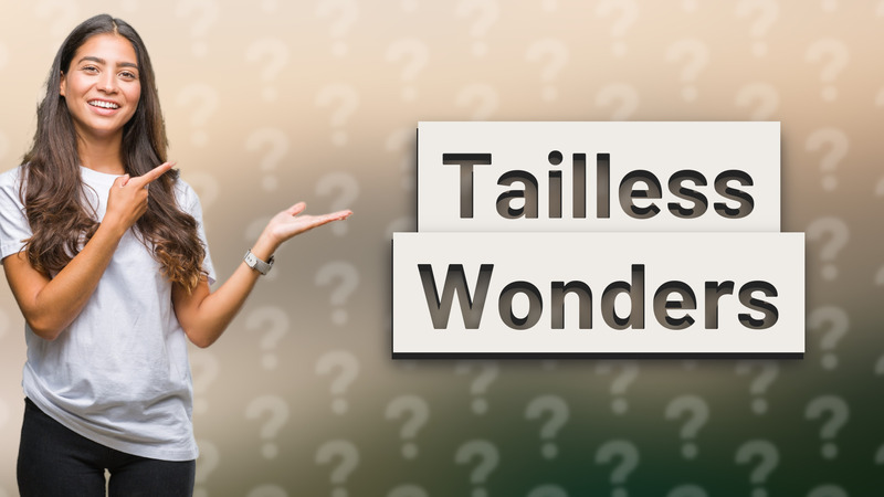 Tailless Wonders