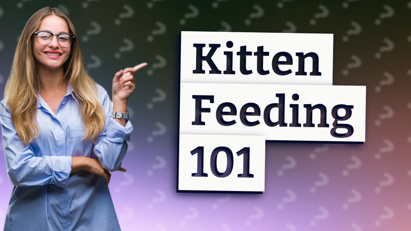 Kitten Feeding 101